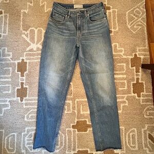 Everlane Blue Curvy Cheeky Jeans